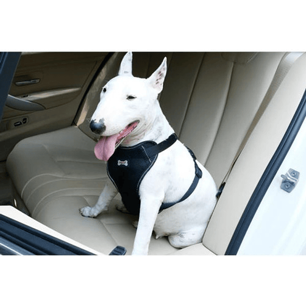 Arnés Pechera Con Cinturón De Seguridad Para Perros Talla L 2