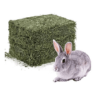 Heno de ballica 2 Kg 1