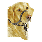 Collar Anti Tirones Para Perros Entrenamiento Talla M 1