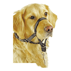 Collar Anti Tirones Para Perros Entrenamiento Talla M