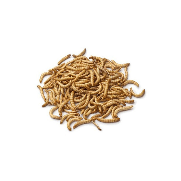 Tenebrios deshidratados 200 Gr