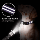 Collar Reflectante Para Perros Y Gatos Talla S 10