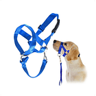 Collar anti tirones de adiestramiento talla S 1