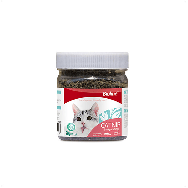 Hierba gatera Catnip 20 Gr 1