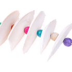 Set huesos de jibia para colgar 4