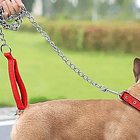 Correa de acero S  4