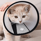 Collar isabelino con velcro 11 cm 4