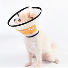 Collar isabelino con velcro 18 cm 2