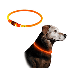 Collar LED recargable talla S 7