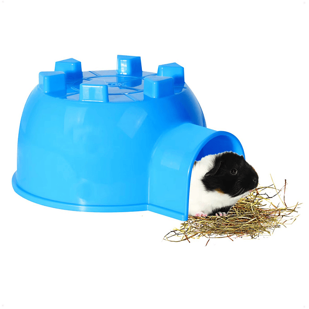 Casa iglú mediana 2