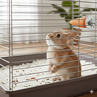 Zanahoria de madera 2