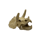 Adorno para acuarios cráneo de triceratops 1