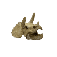 Adorno para acuarios cráneo de triceratops