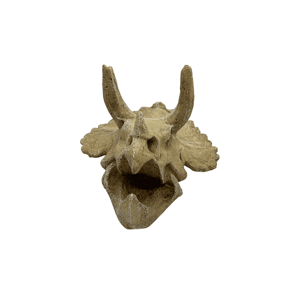 Adorno para acuarios cráneo de triceratops 2