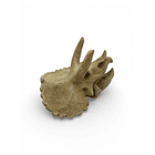 Adorno para acuarios cráneo de triceratops 3