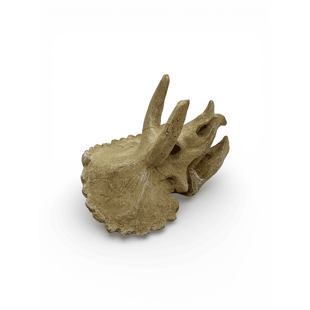 Adorno para acuarios cráneo de triceratops 3