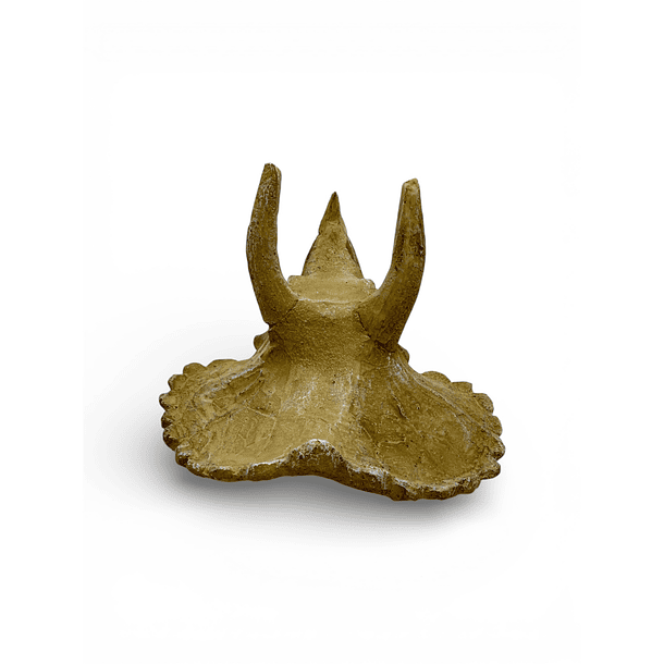 Adorno para acuarios cráneo de triceratops 4