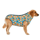 Body post operatorio talla 4 4