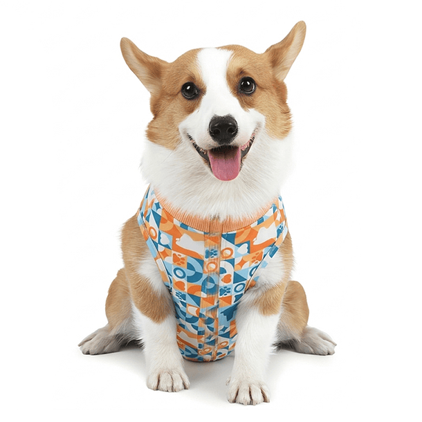 Body post operatorio talla 5 2