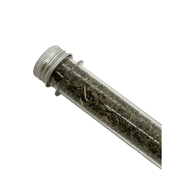 Hierba gatera Catnip 5 Gr 3