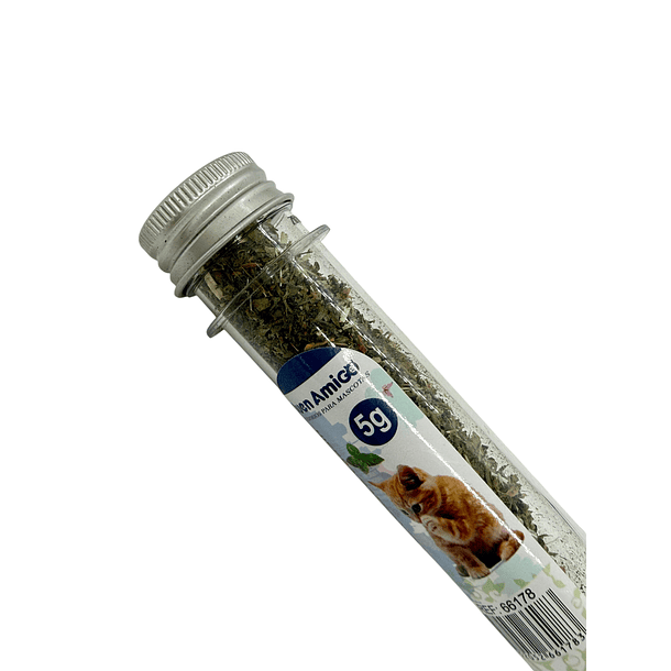 Hierba gatera Catnip 5 Gr 2