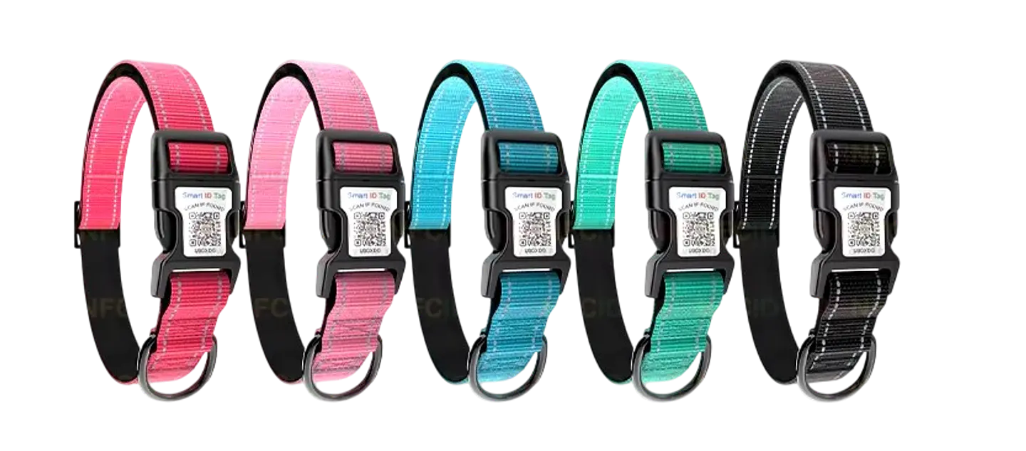 Collar de identificación con código QR 1