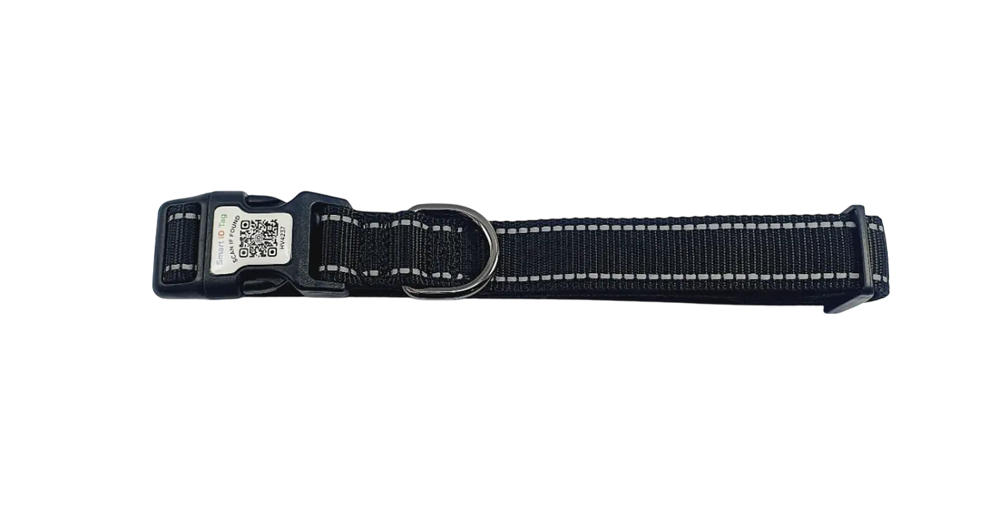 Collar de identificación con código QR 2