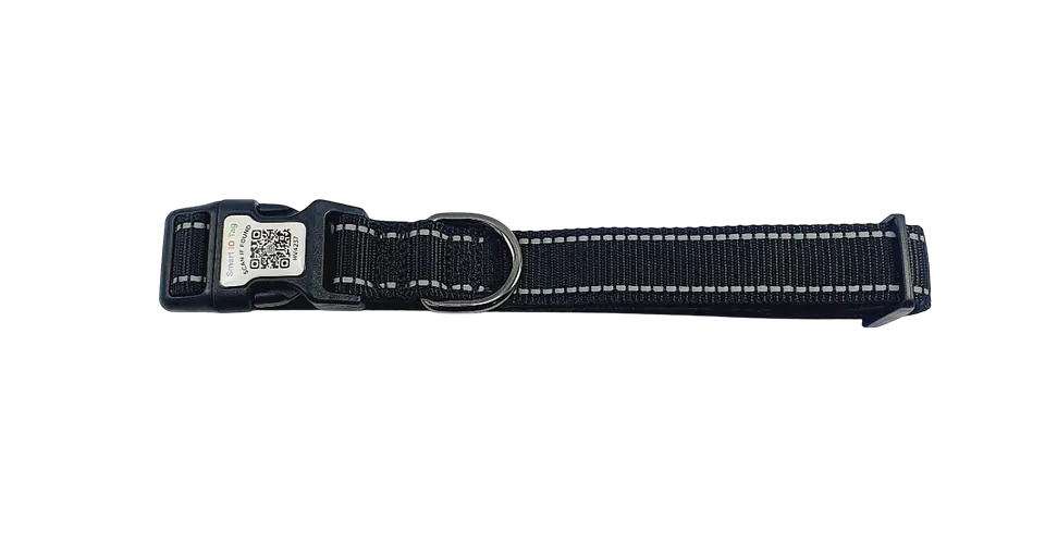 Collar de identificación con código QR 2