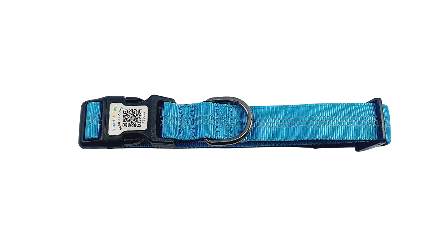 Collar de identificación con código QR 3