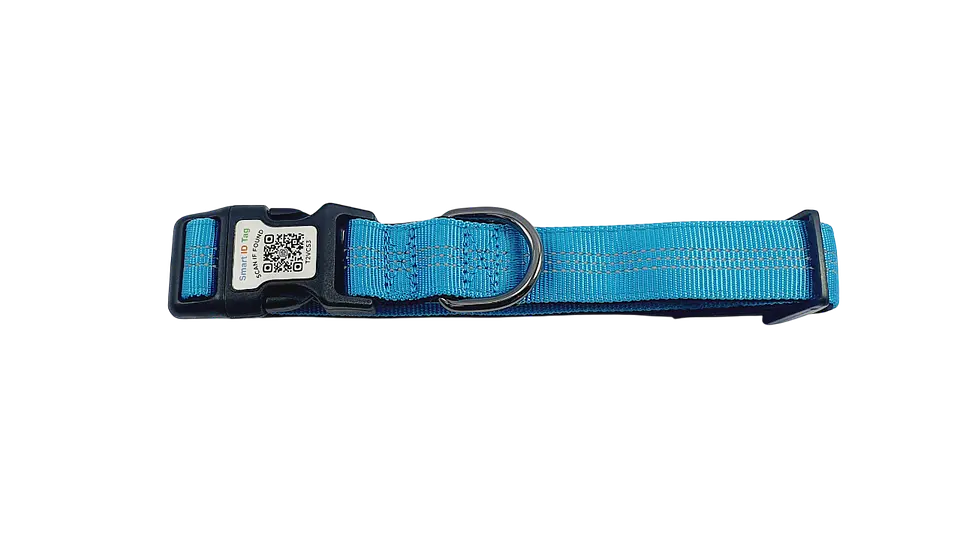Collar de identificación con código QR 3