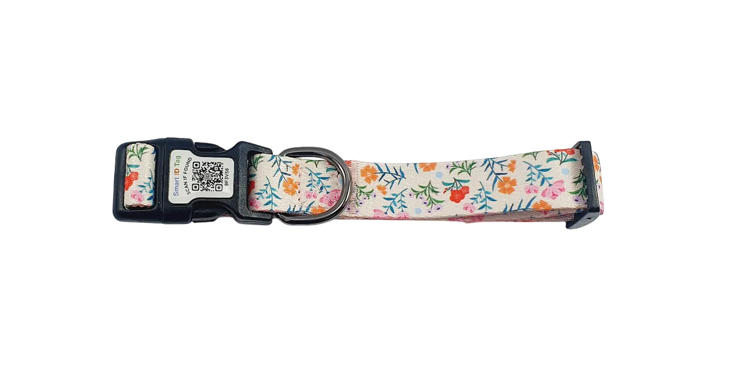 Collar de identificación con código QR 4