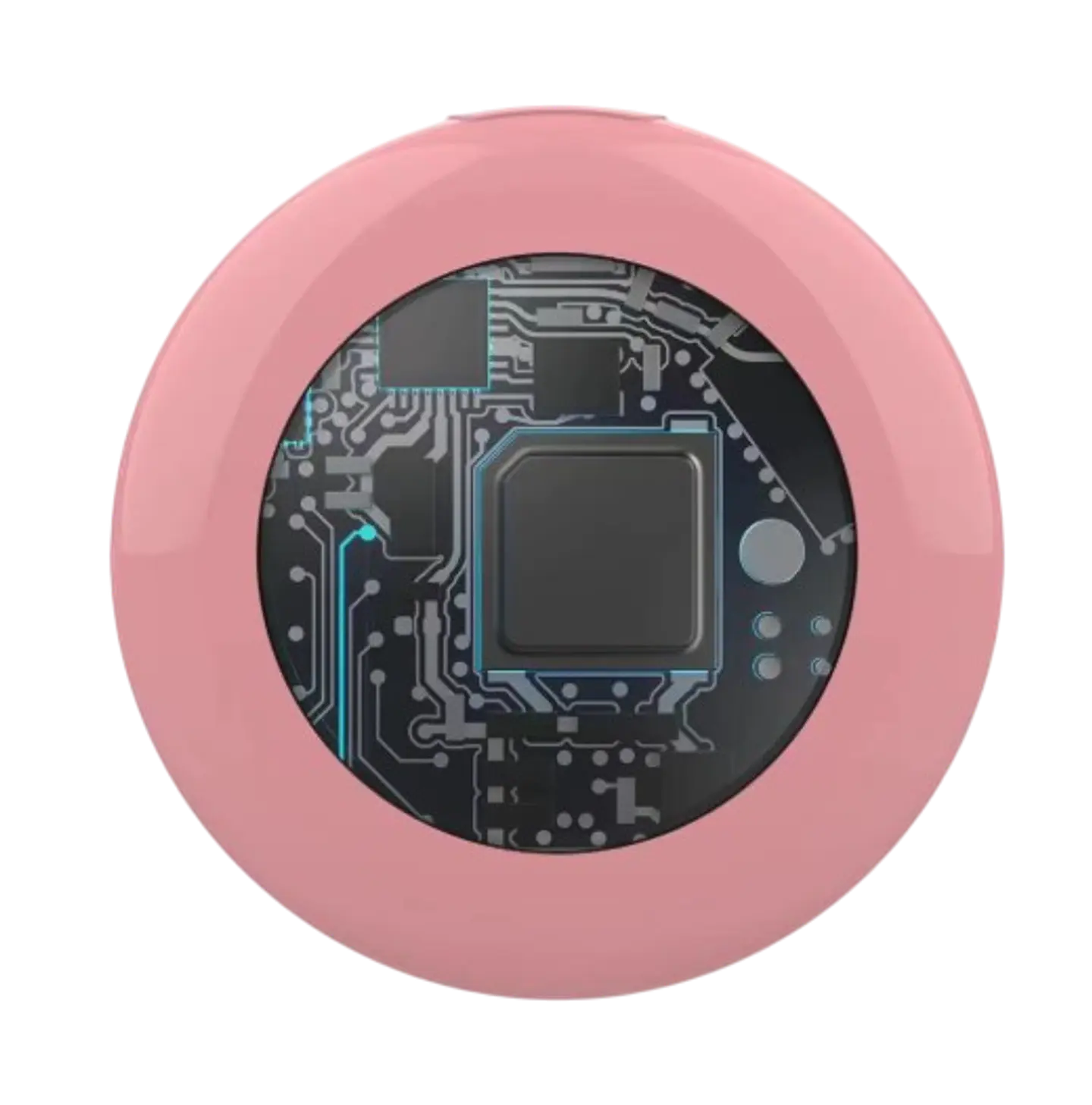 Localizador de Rastreo Global Compatible con Apple 6
