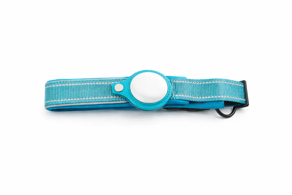Collar de Perro con Localizador de Rastreo Global Apple 12