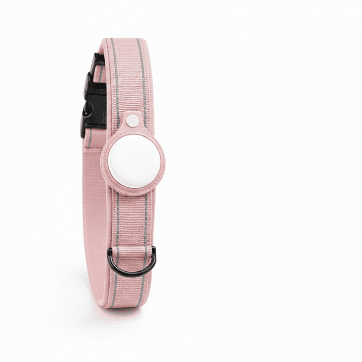 Collar de Perro con Localizador de Rastreo Global Apple 8