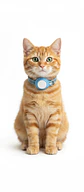 Collar para Gato con Soporte para Localizador GPS - Miniatura 8