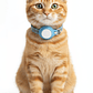 Collar para Gato con Soporte para Localizador GPS - Miniatura 8