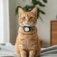 Collar para Gato con Soporte para Localizador GPS - Miniatura 10