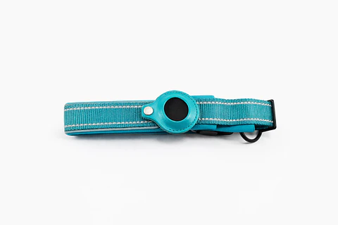 Collar de Perro con Soporte para Localizador GPS