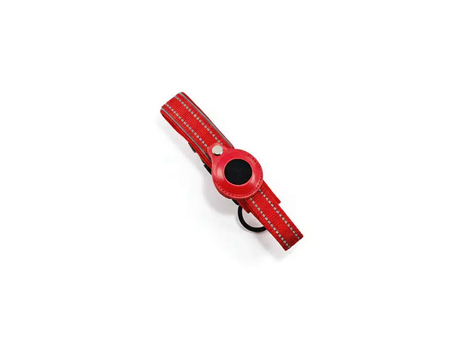 Collar de Perro con Soporte para Localizador GPS 14