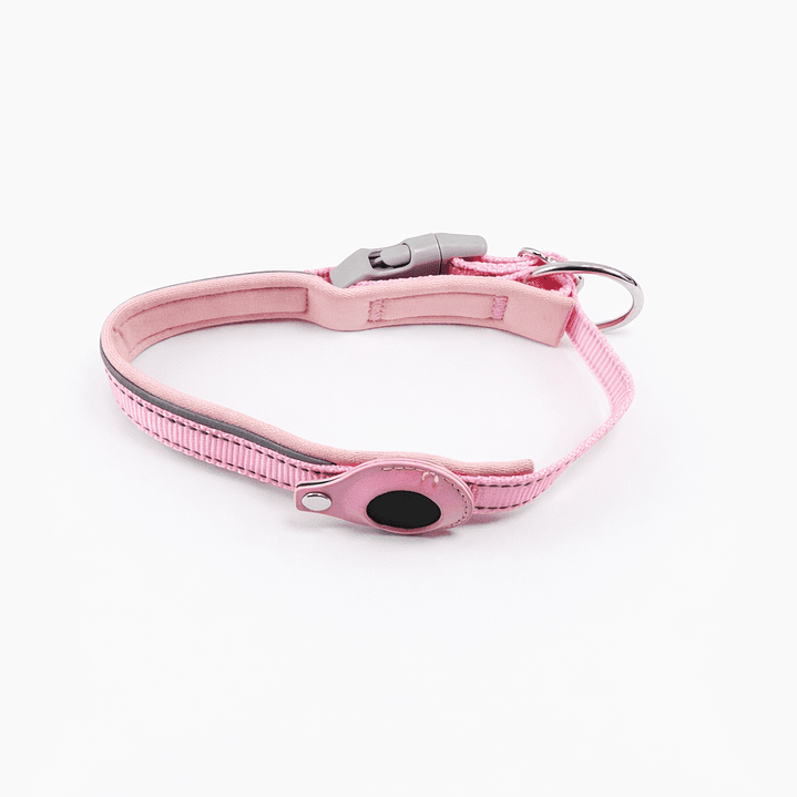 Collar de Perro con Soporte para Localizador GPS 11