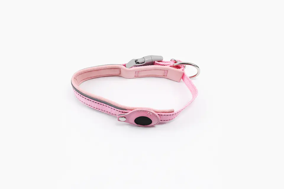 Collar de Perro con Soporte para Localizador GPS 11