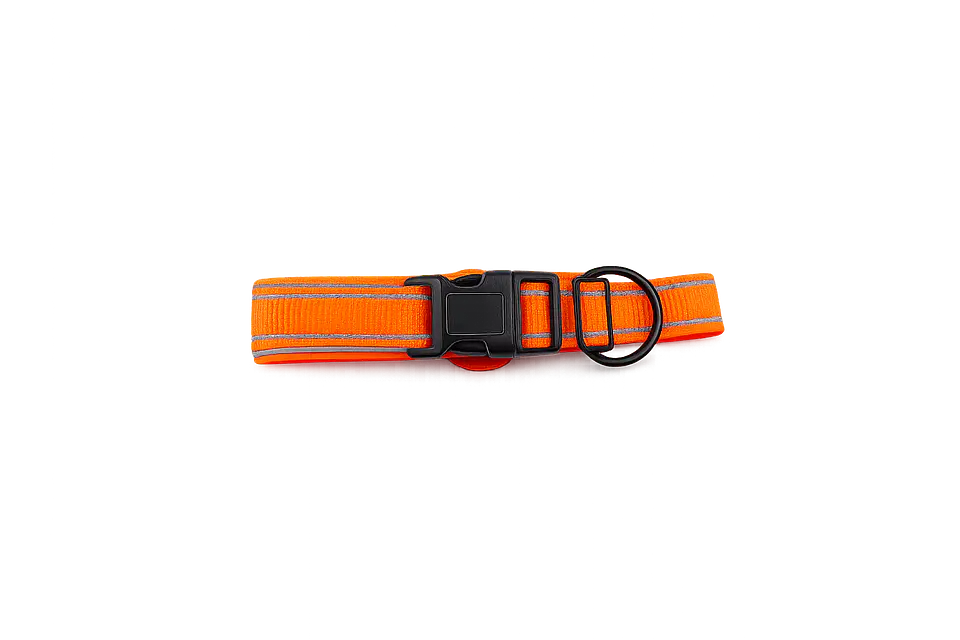 Collar de Perro con Soporte para Localizador GPS 7