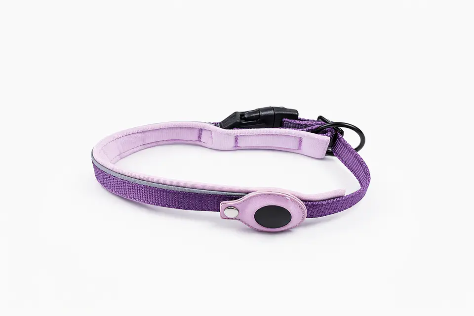 Collar de Perro con Soporte para Localizador GPS 16