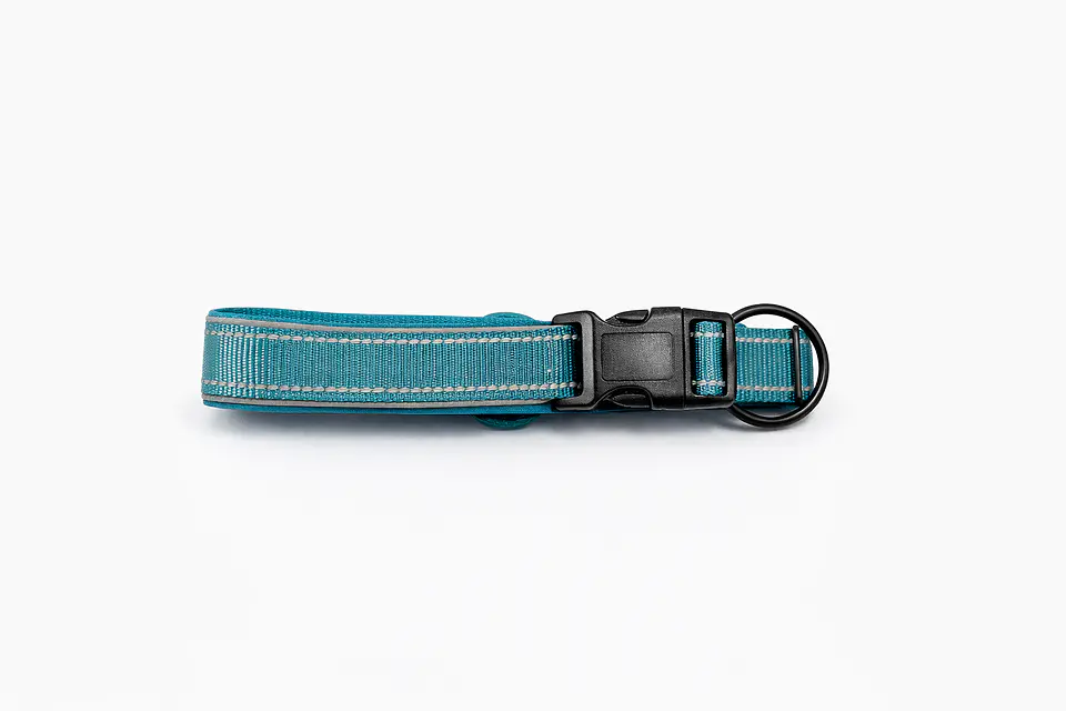 Collar de Perro con Soporte para Localizador GPS 10
