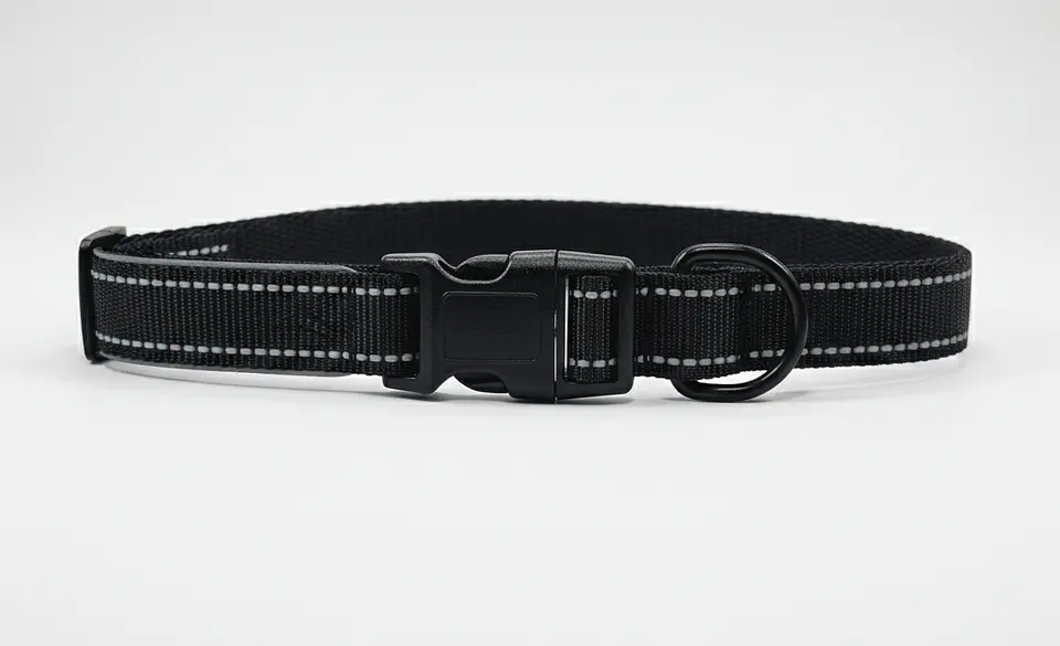 Collar de Perro con Soporte para Localizador GPS 8