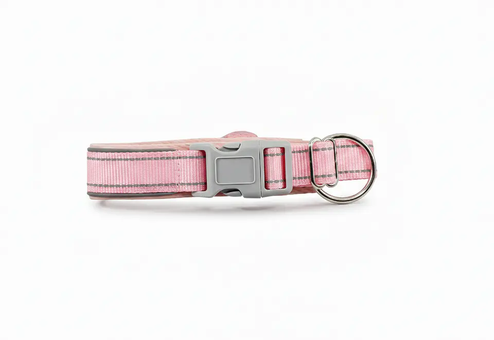 Collar de Perro con Soporte para Localizador GPS 12