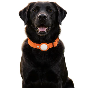 Collar de Perro con Localizador de Rastreo Global Apple