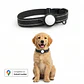 Collar de Perro con Localizador de Rastreo Global Android - Miniatura 1
