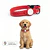 Collar para Perro con Localizador de Rastreo Global Android
