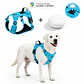 Arnés Reflectante para Perros con Localizador Android - Miniatura 1